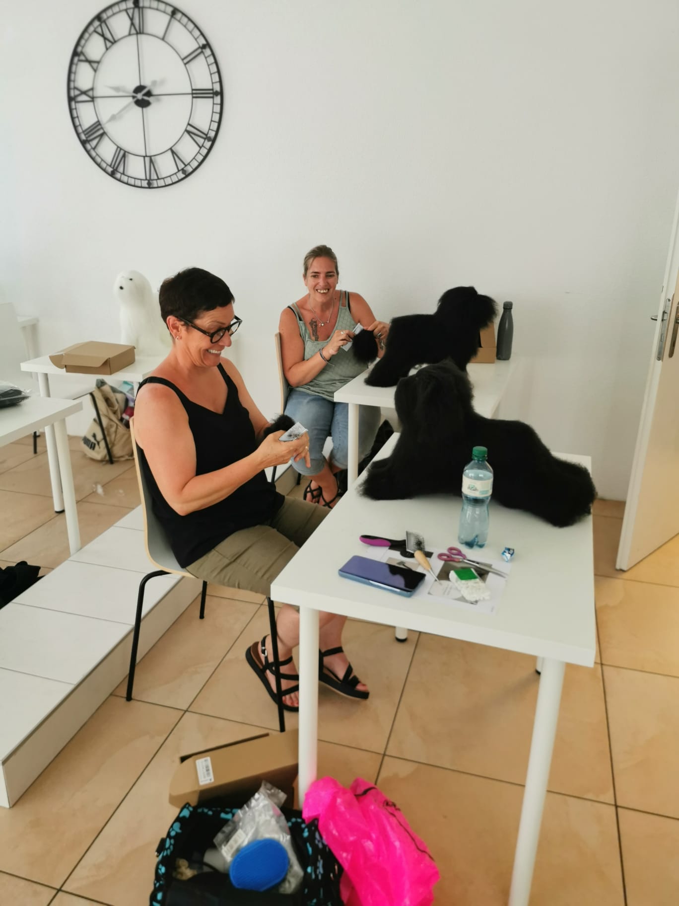 Cours de formation au toilettage dans la salle de théorie NEWDOG